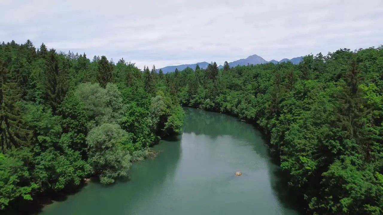 Flying across a green river surrounded by forest