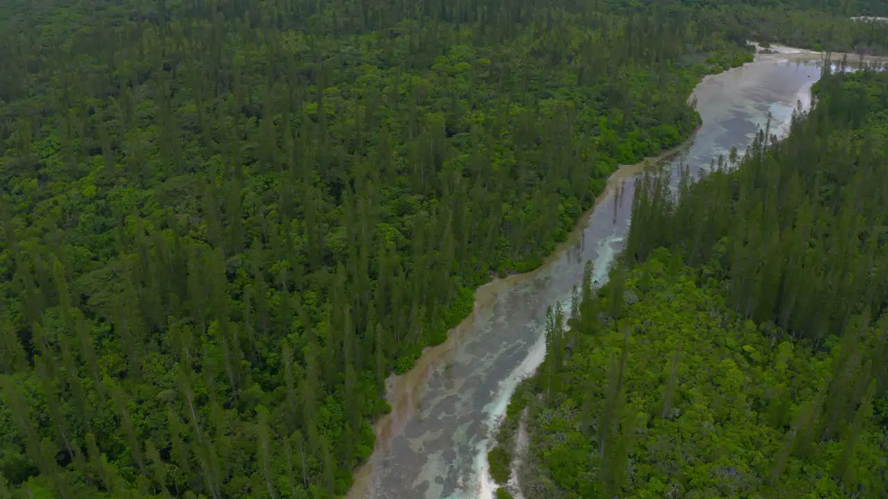 Drone shot flying above a tropical river surrounded by pine-trees during the day