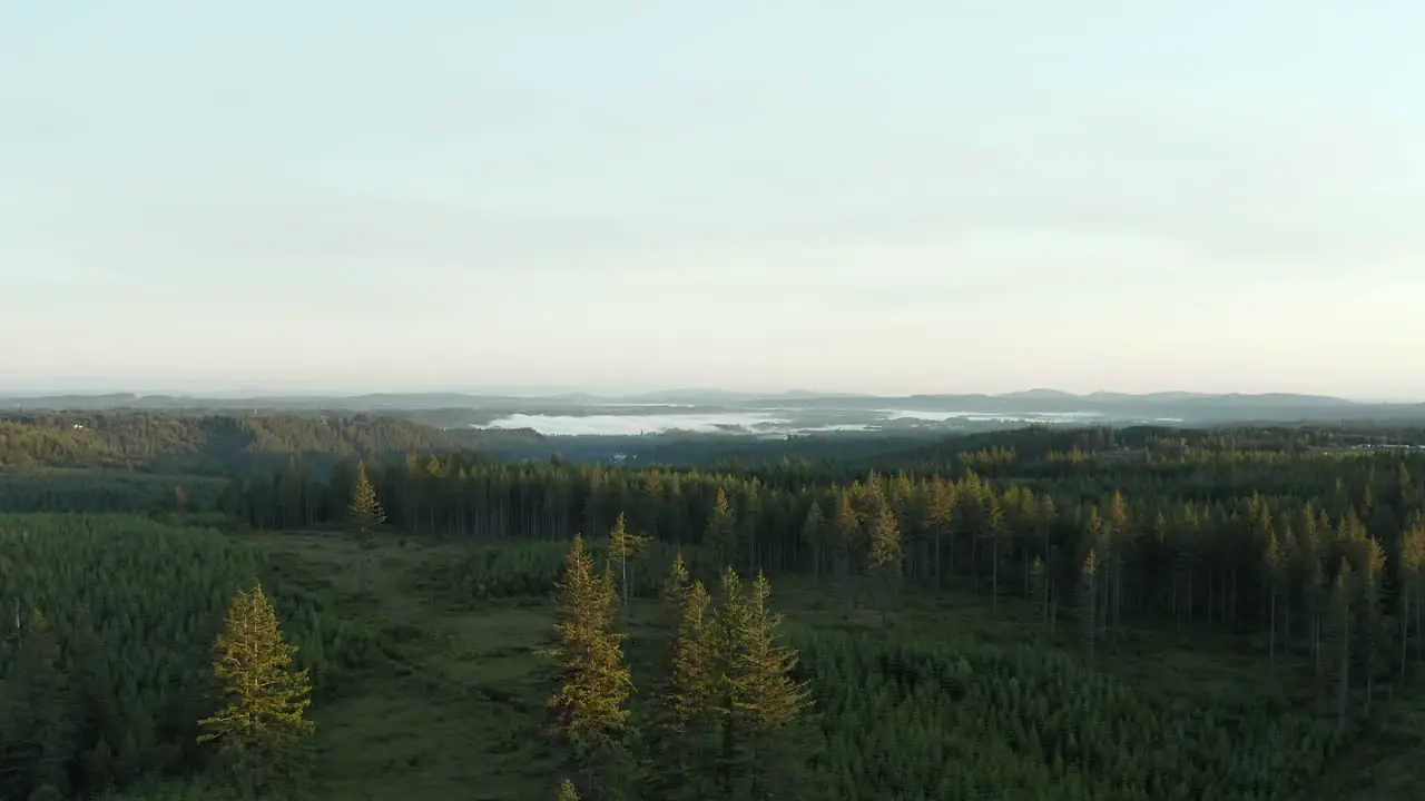 A drone shot flying over a forest of a beautiful sunrise