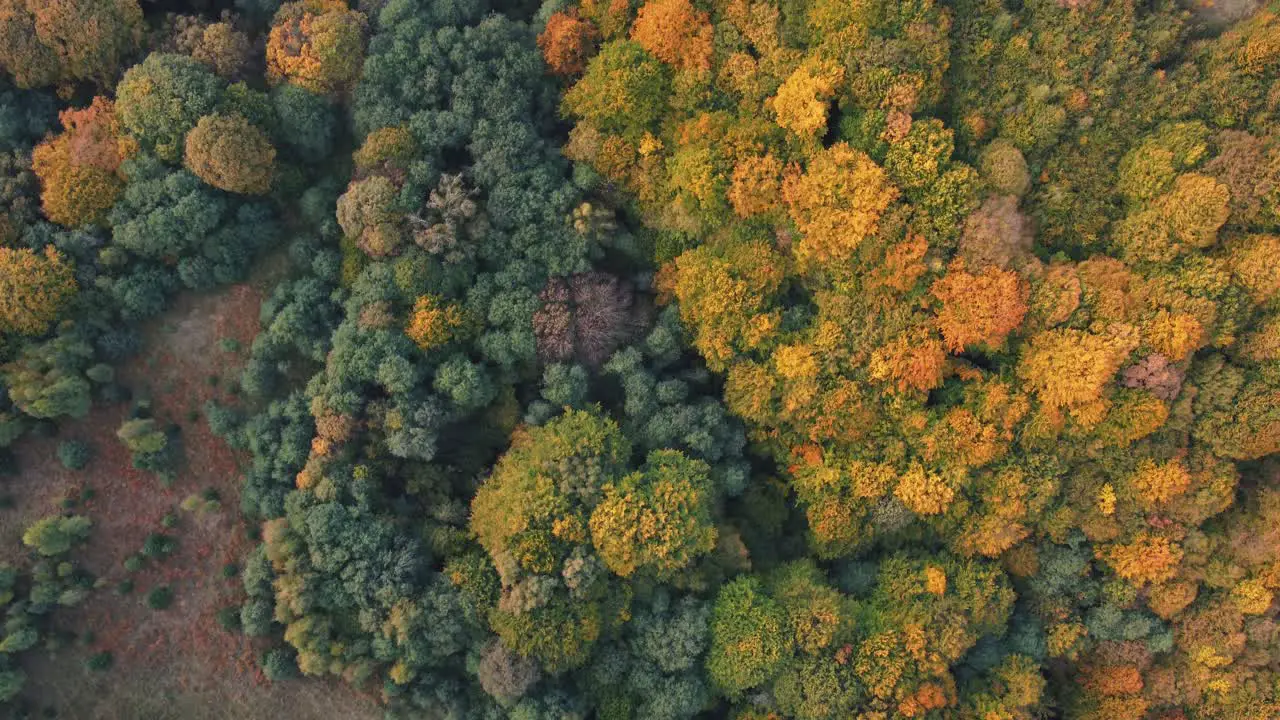 Colorful autumn over the village of Rucar in Romania