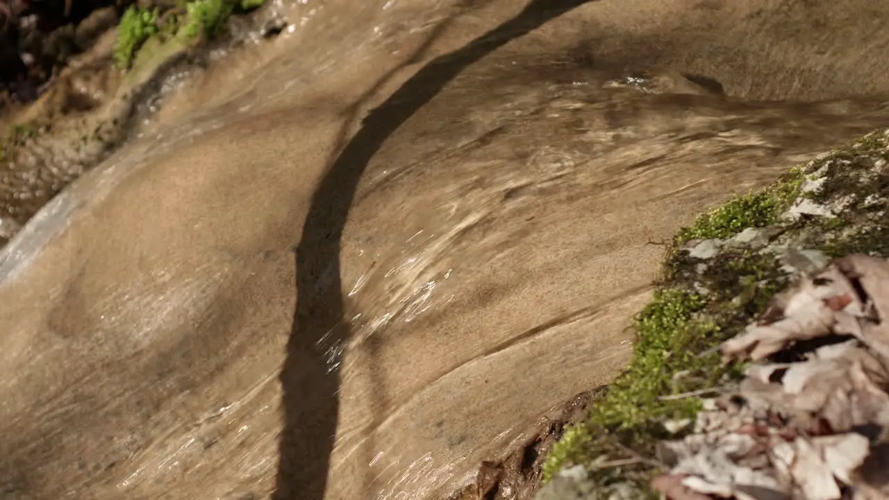 Creek water floating in Switzerland-1