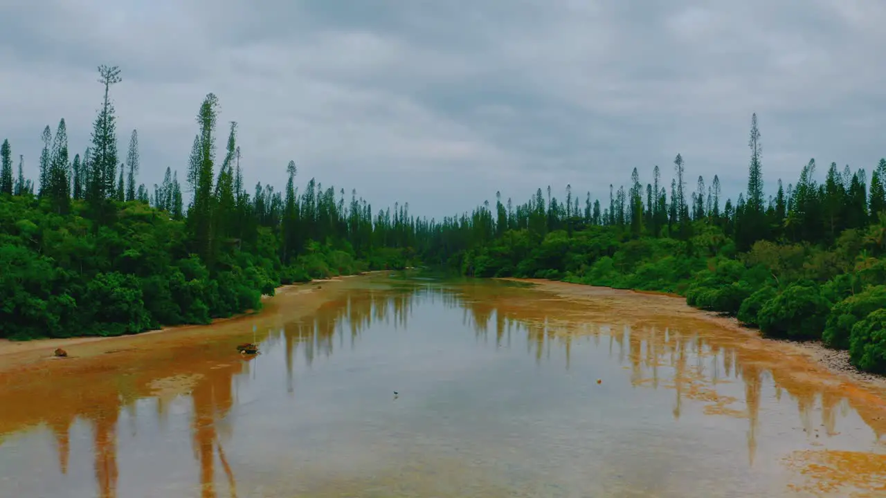 Fly over a river surrounded by huge pine-trees during a cloudy day