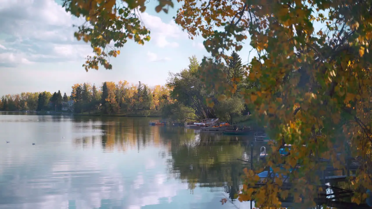 Calm lakeside view on a mild summer day in Alberta