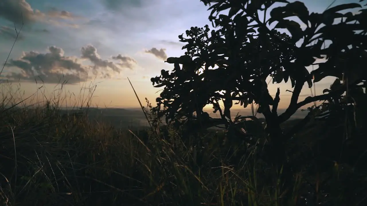 Beautiful sunrise in the woods in slow motion