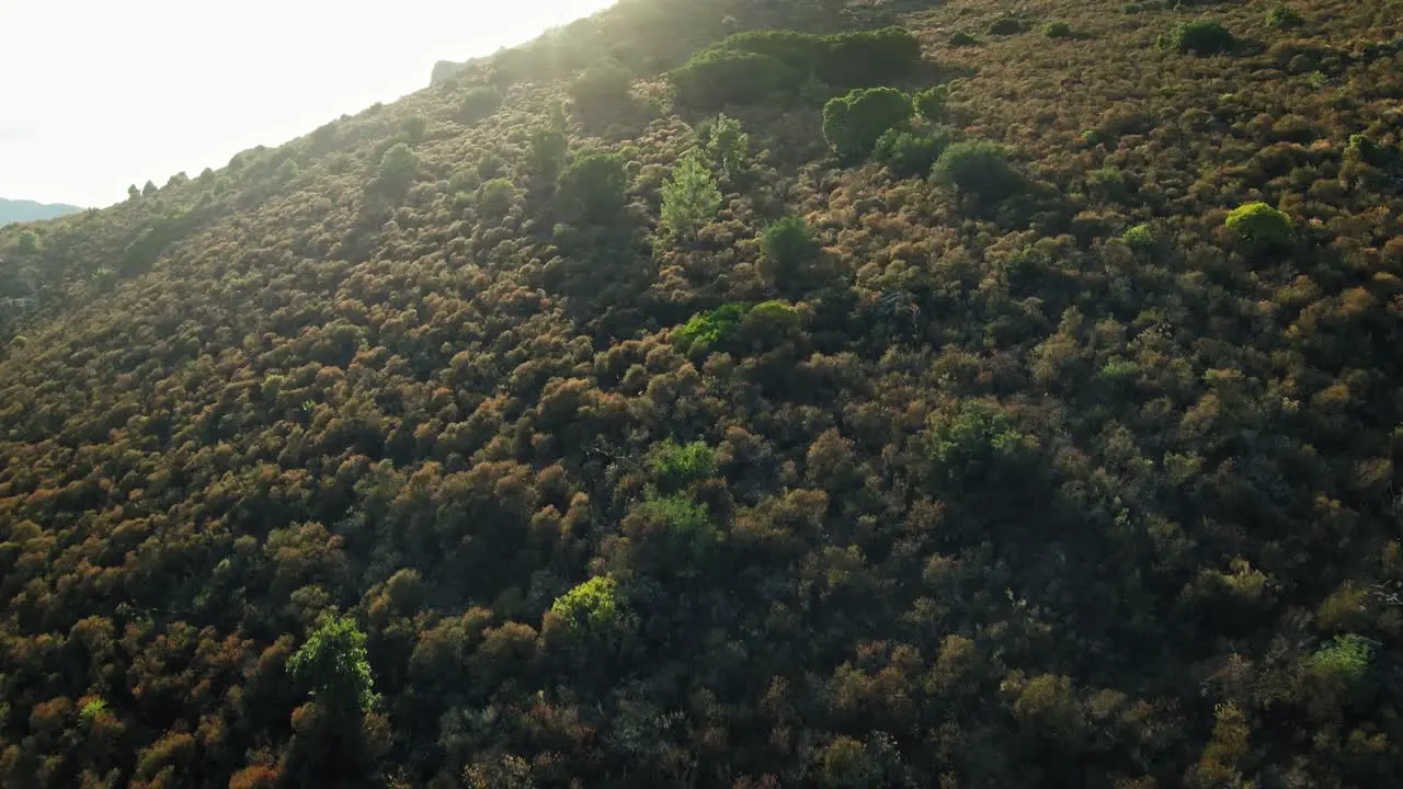 Fast surfing of a Corsican hill