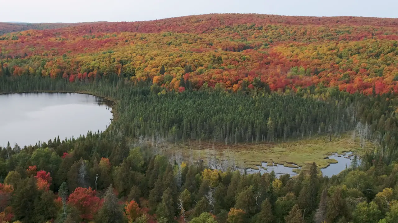 Pan Of Marsh And Lake With Vibrant Fall Color