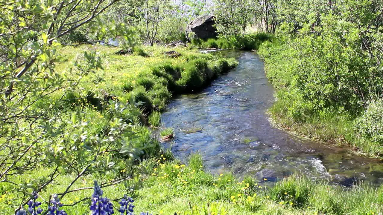 A brook In Icelandic landscape