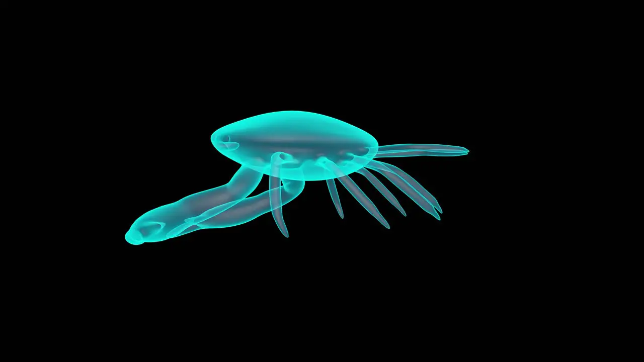 A Beautiful 3D Crab Holograph turntable render