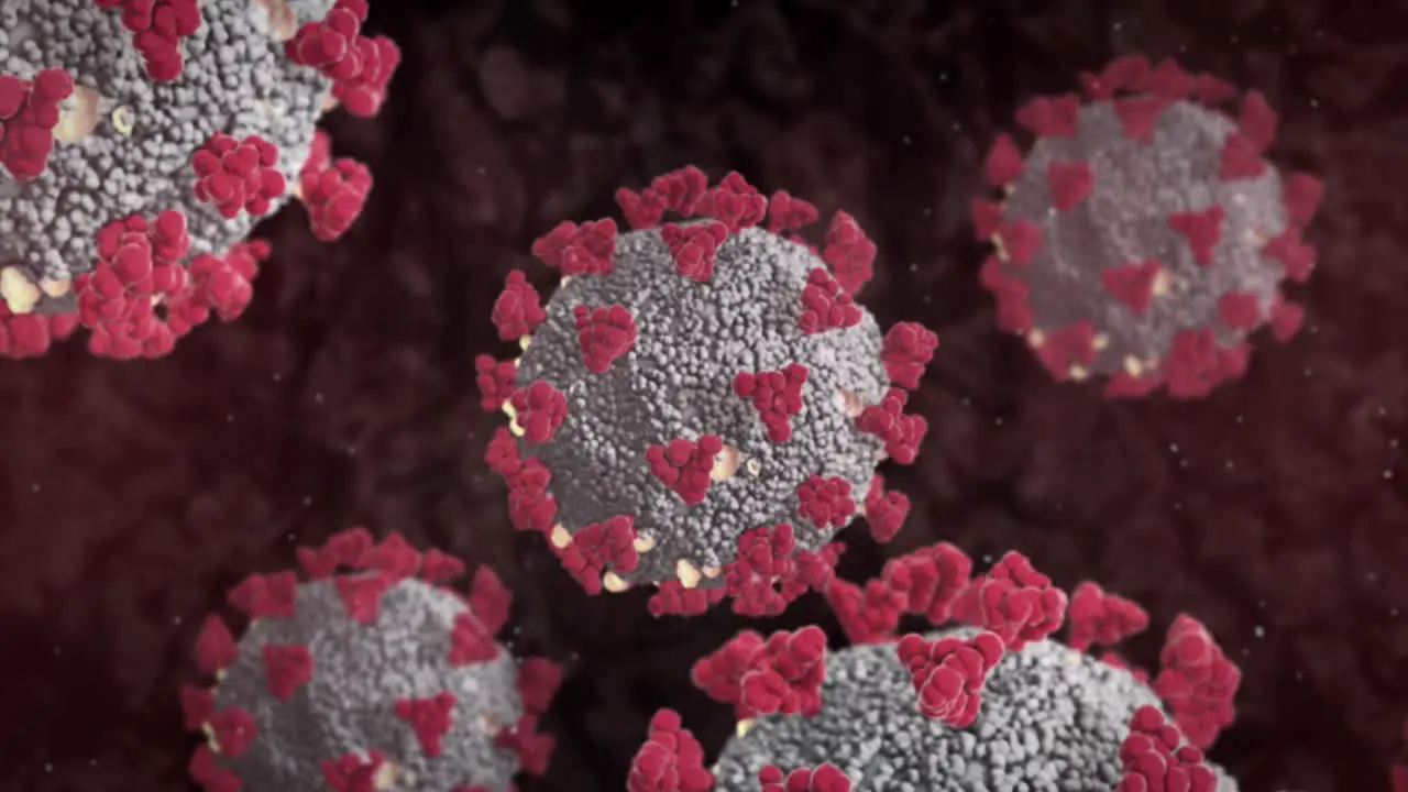 Animated Shot of Coronavirus Virons in the Human Body as Seen Through a Microscope