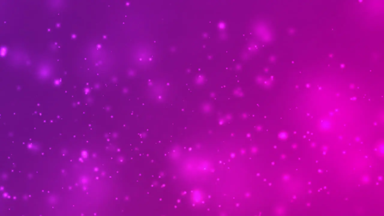 Purple Pink Particle Animation Looping for Abstract Presentation Background