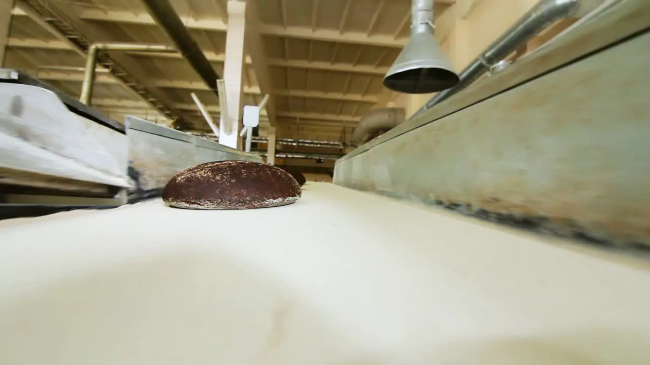 Brown bread on conveyor belt Rye bread production process on bakery