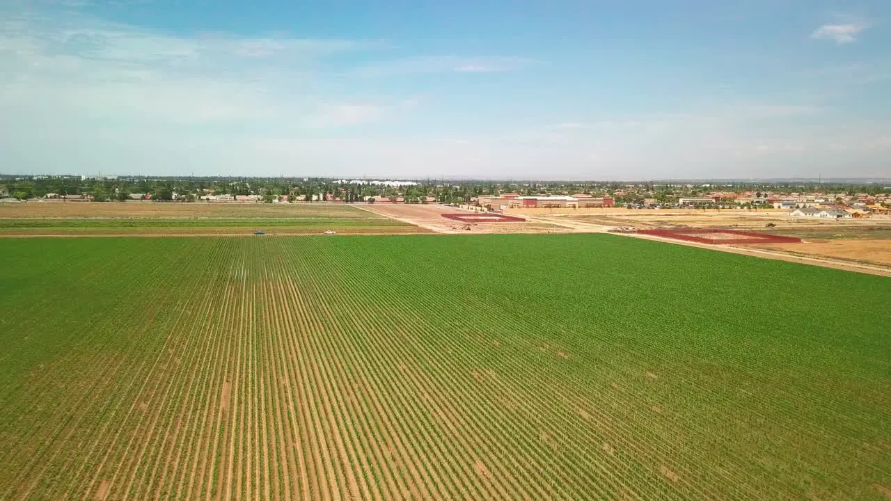 Flying high and then low over rows and rows of farmland crops