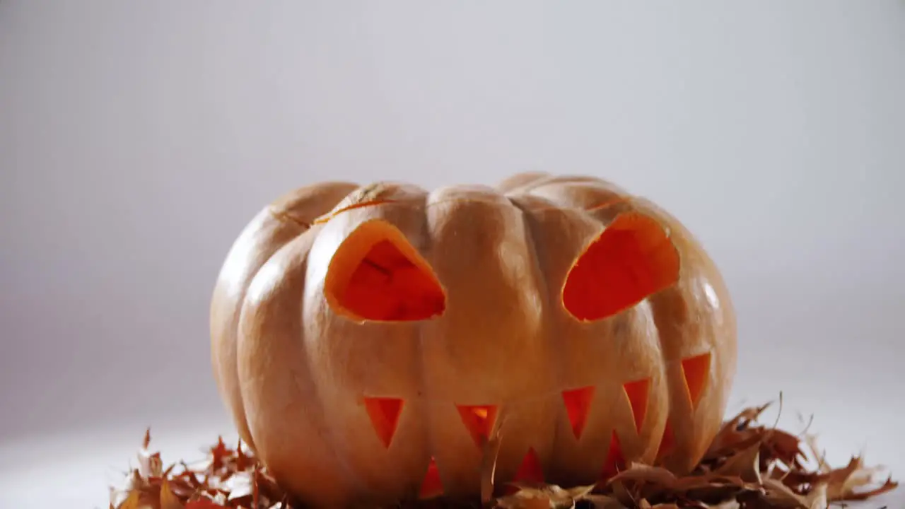 Halloween pumpkin with maple leaf against white background 4k