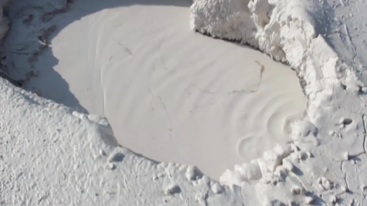 Yellowstone Mud Pot