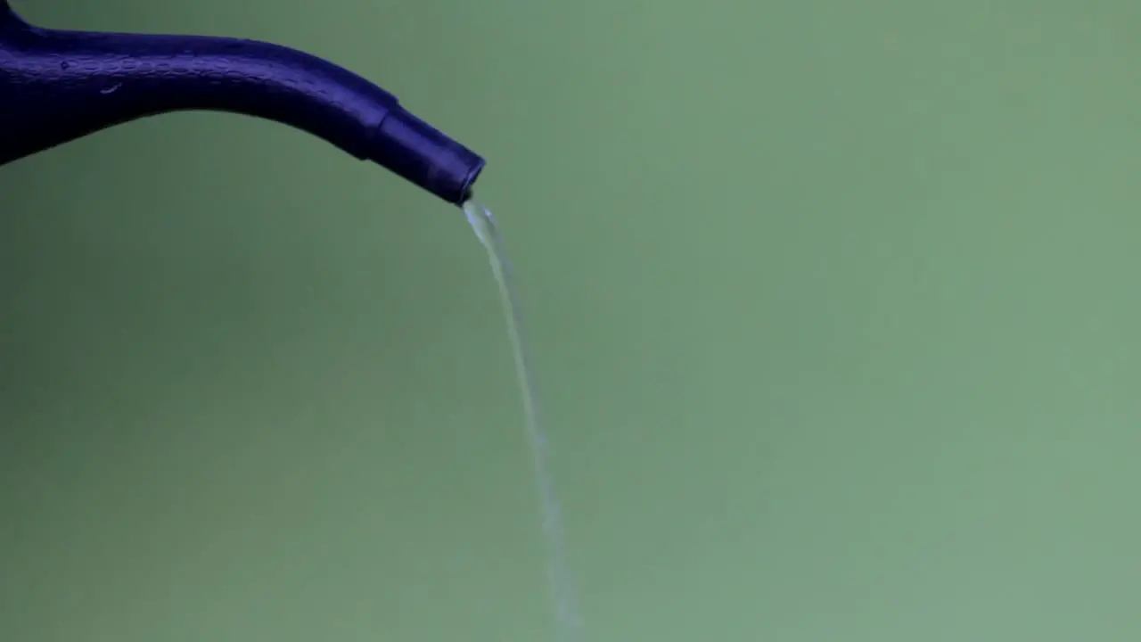 Pouring Water from Watering Can 