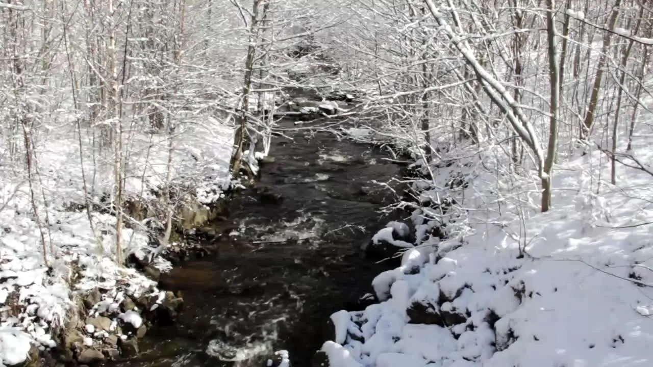 Winter Stream CC-BY NatureClip