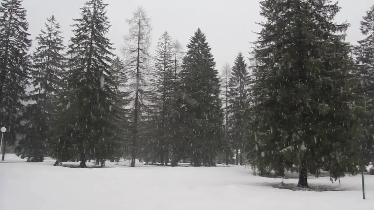 Snowing in Slovenia