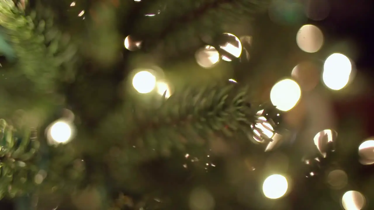 Christmas Tree Bokeh