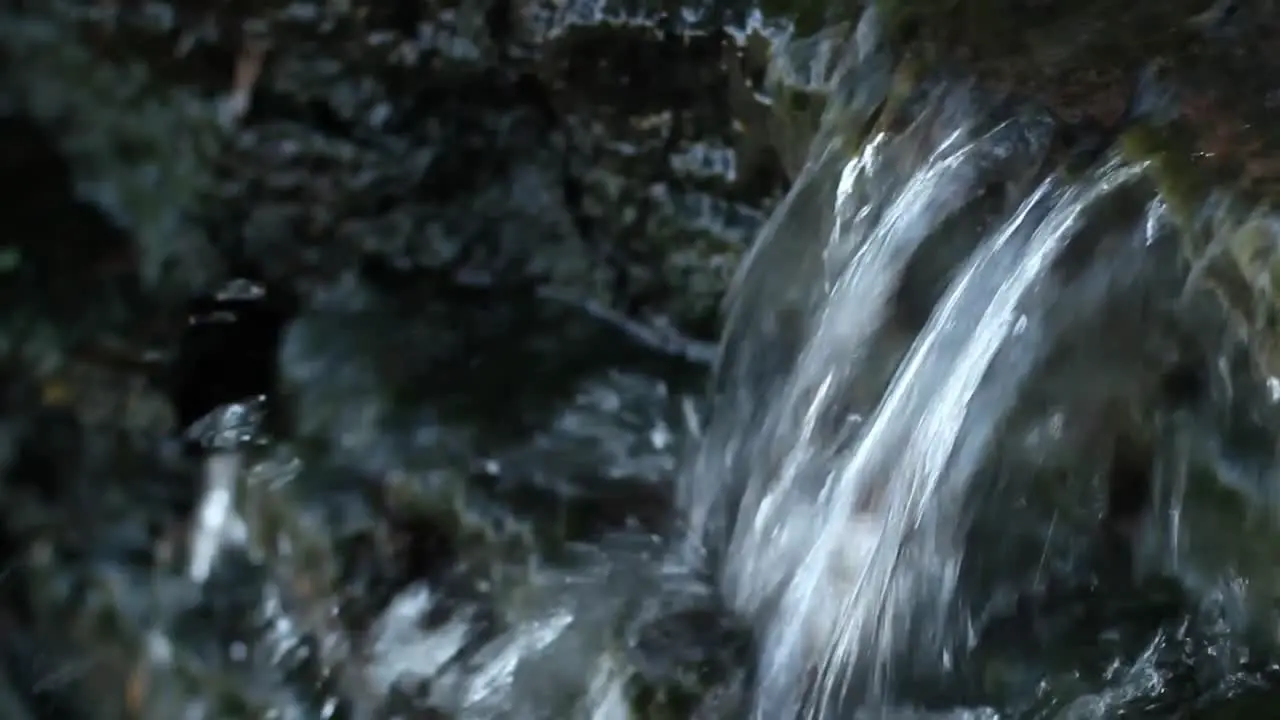 Small Waterfall in a Stream