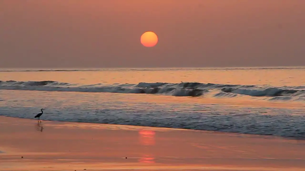 Waves at Sunset in HD slow motion CC-BY NatureClip