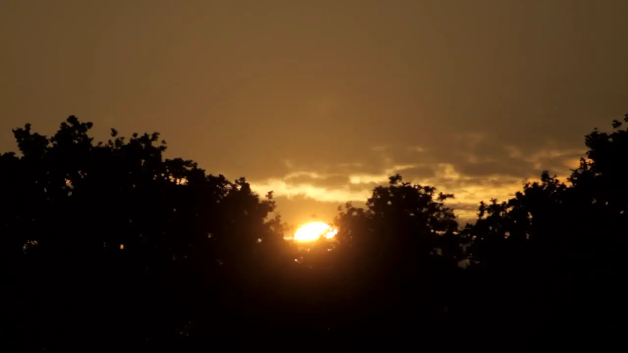 Sunset Behind Trees