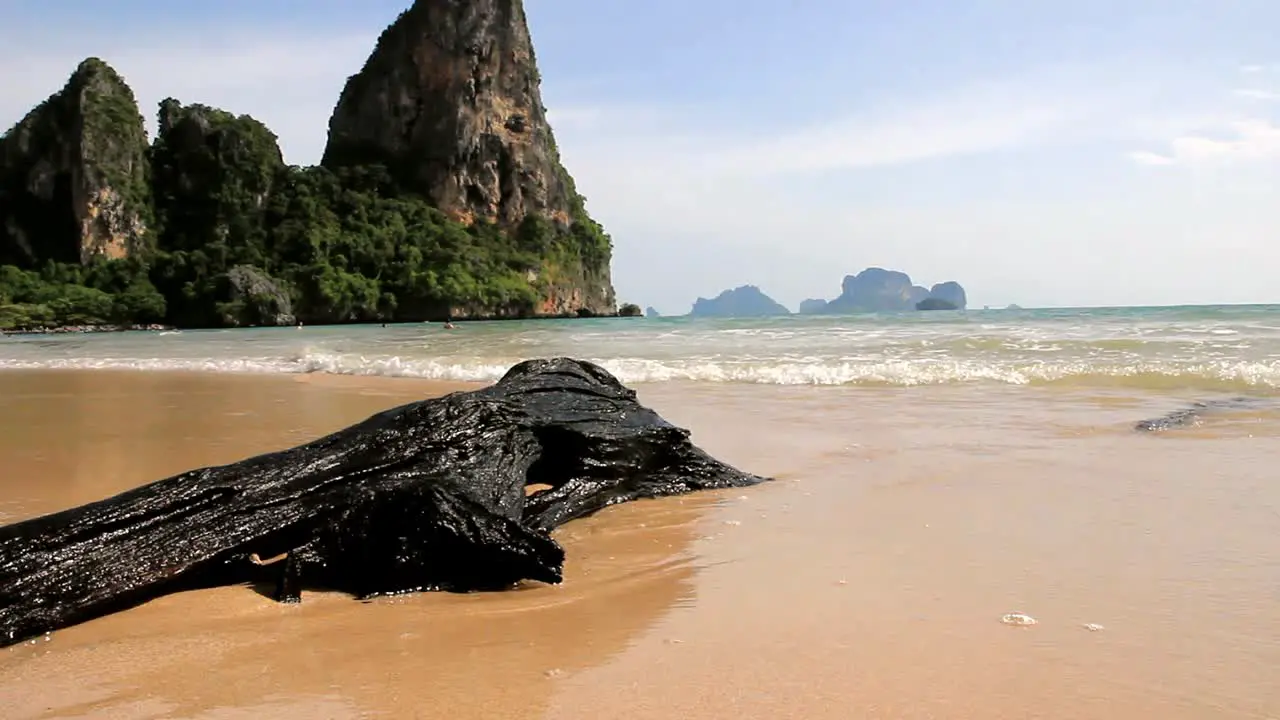 Beach with a View