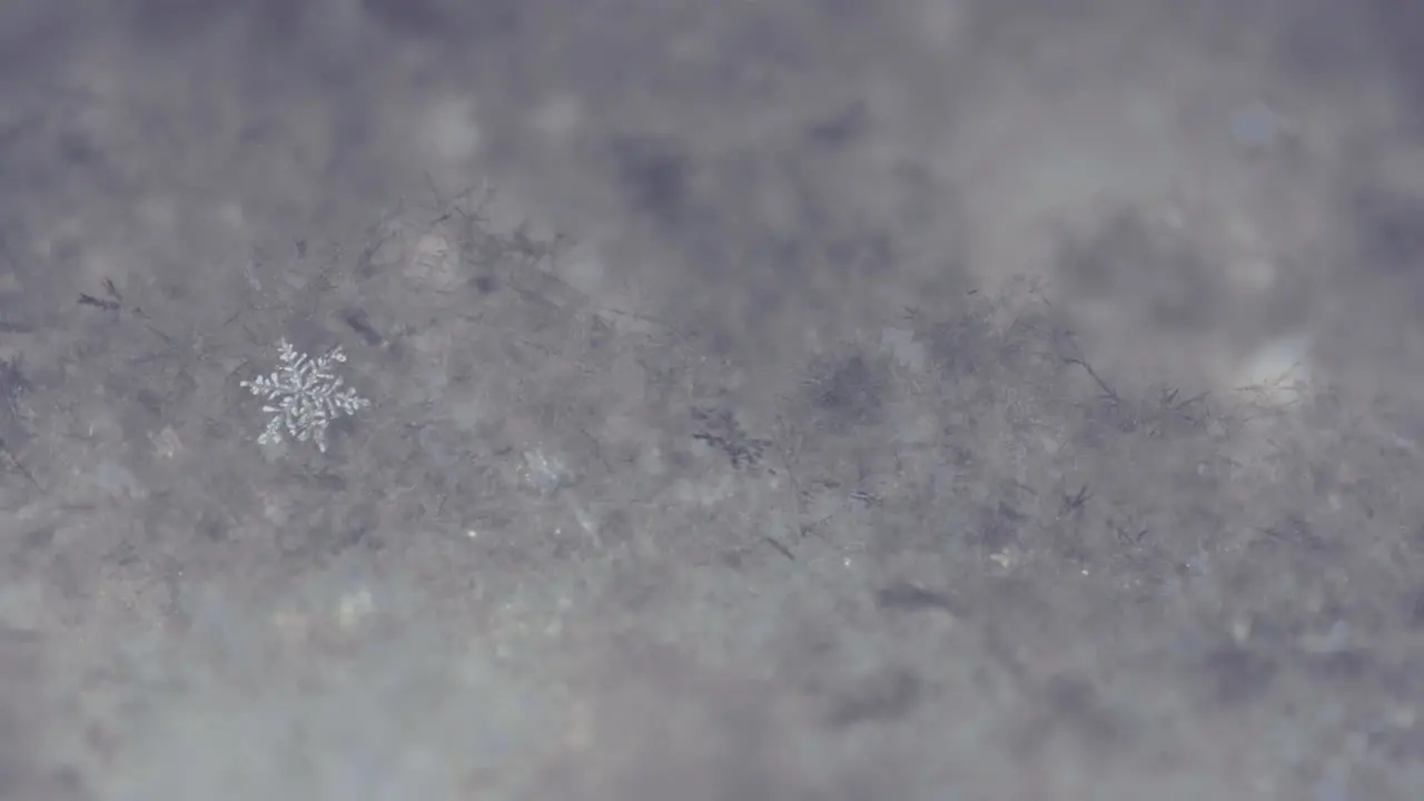 Snowflake Macro