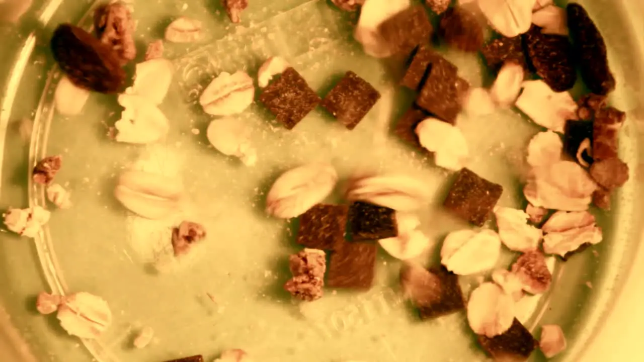 Pouring Cereal in Bowl