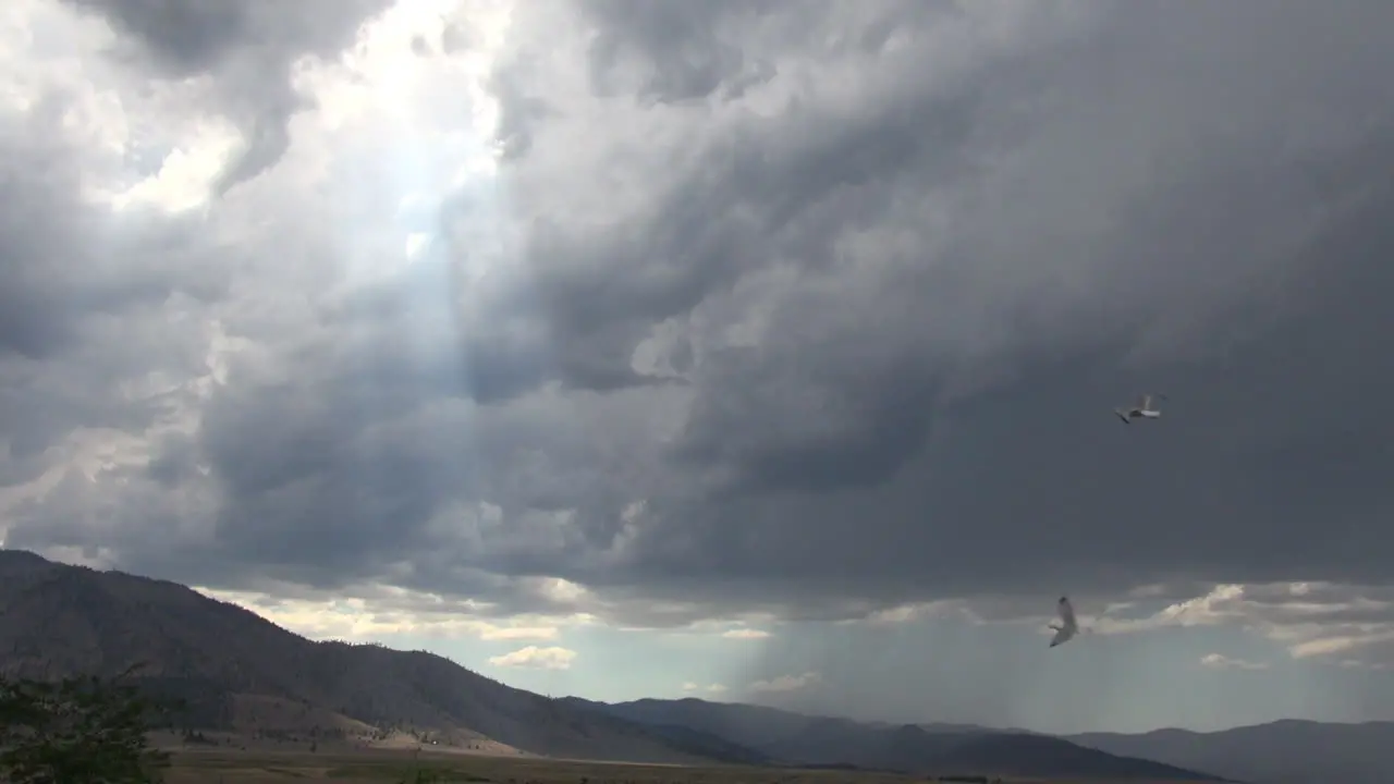 California Birds Fly Past Stormy Clouds