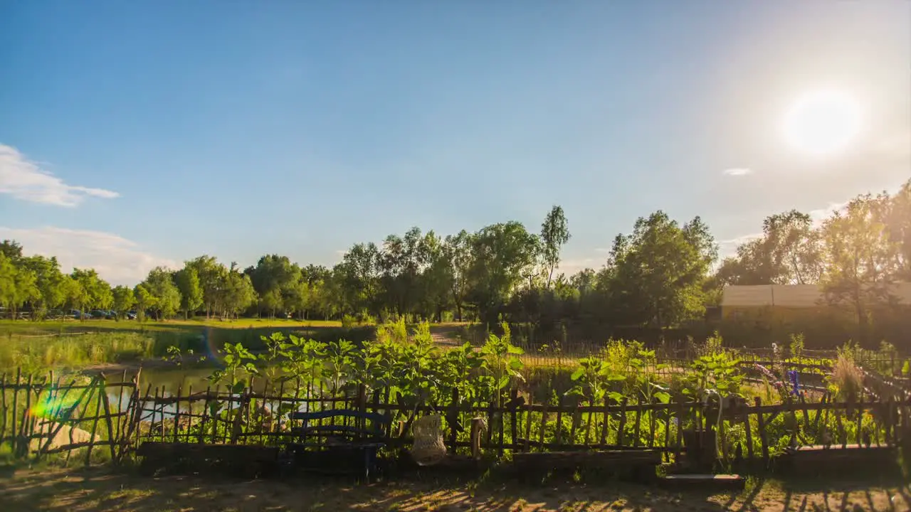 Idyllic Farm