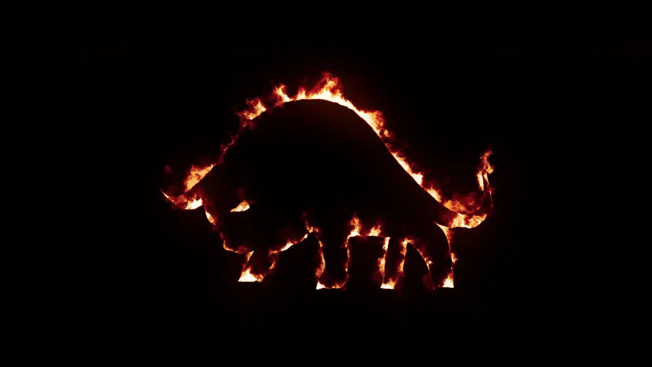 Bull with fire and burning effect on black background