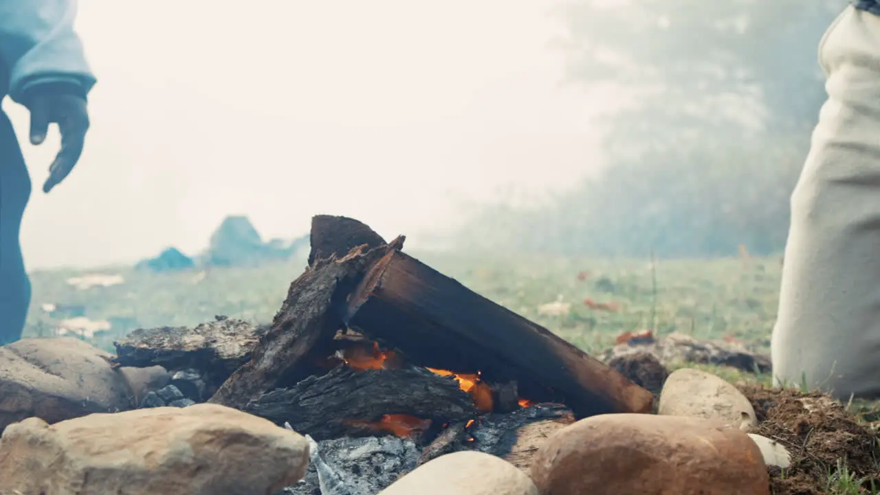 Fire camping and nature with wood burning