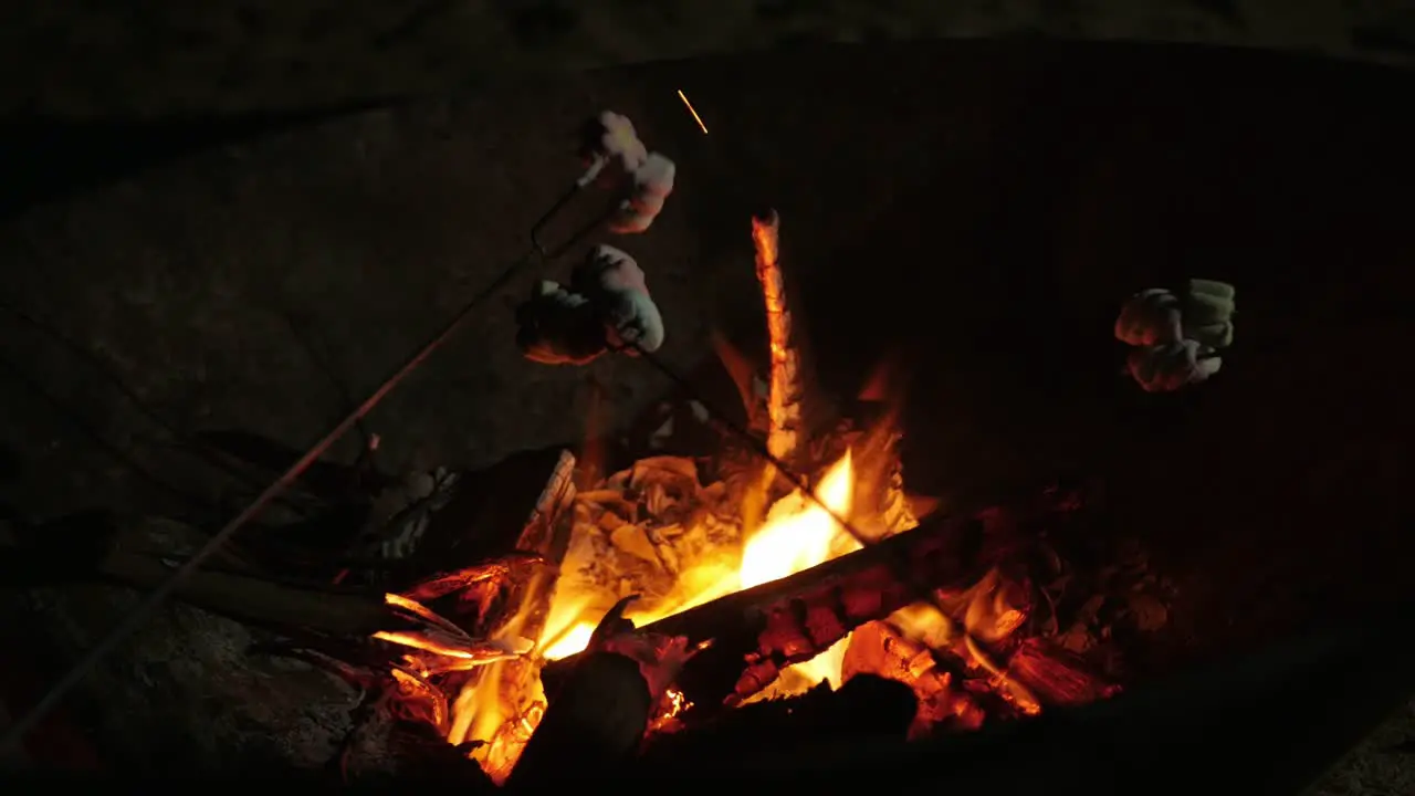 roating mashmallow candy on the firewood heat while camping