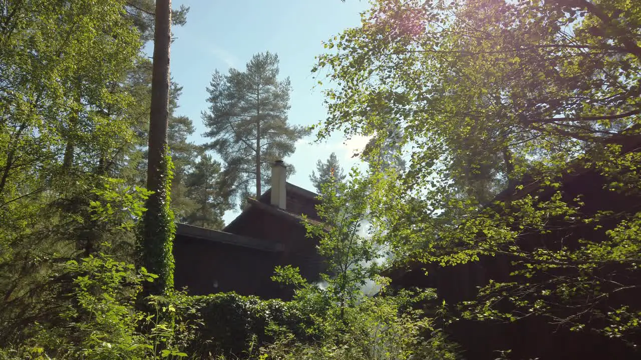 White smoke starts to rise from woodland cabin in forest fire