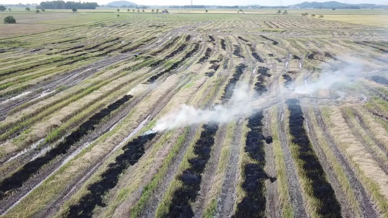 Smoke emission due to open fire by farmer at Malaysia