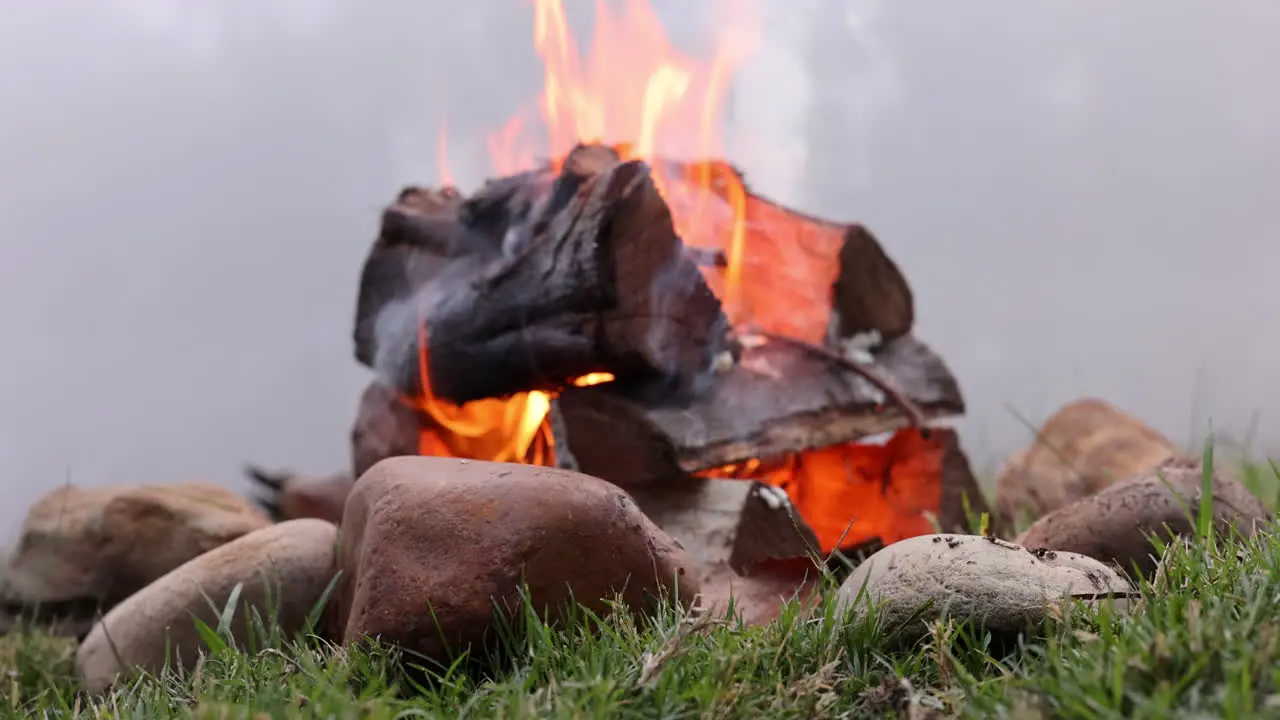 Closeup bonfire and wood for camping outdoor