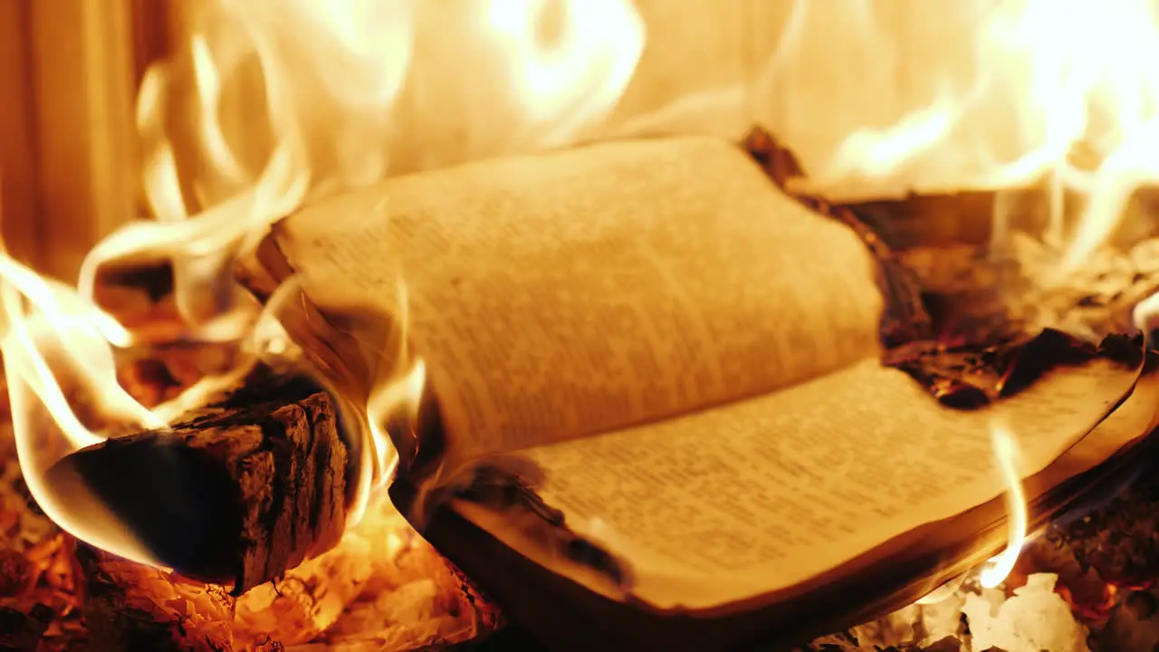 The Book Burns In The Fire Of The Fireplace