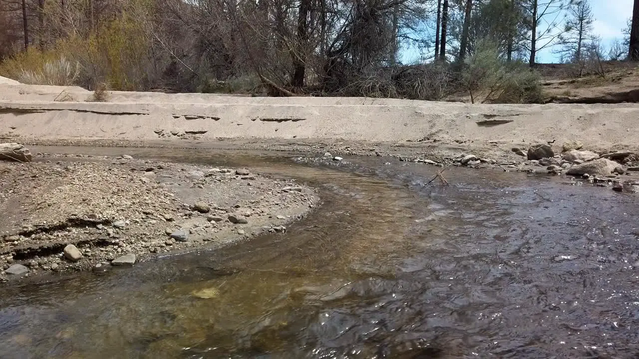 Still camera of a creek near a section of woods burned by fire several years ago near Idyllwild California