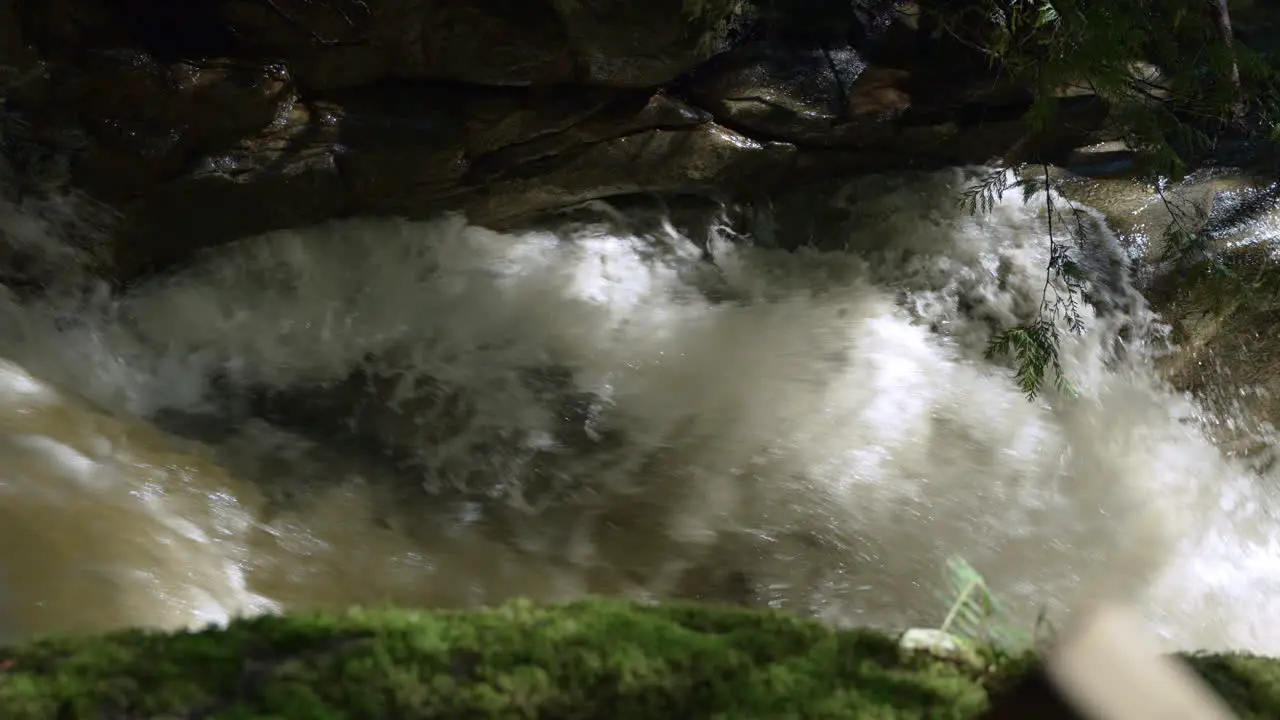 Top view of a stream in a dark forest