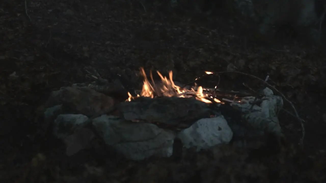 Campfire burning wood during night in the summer