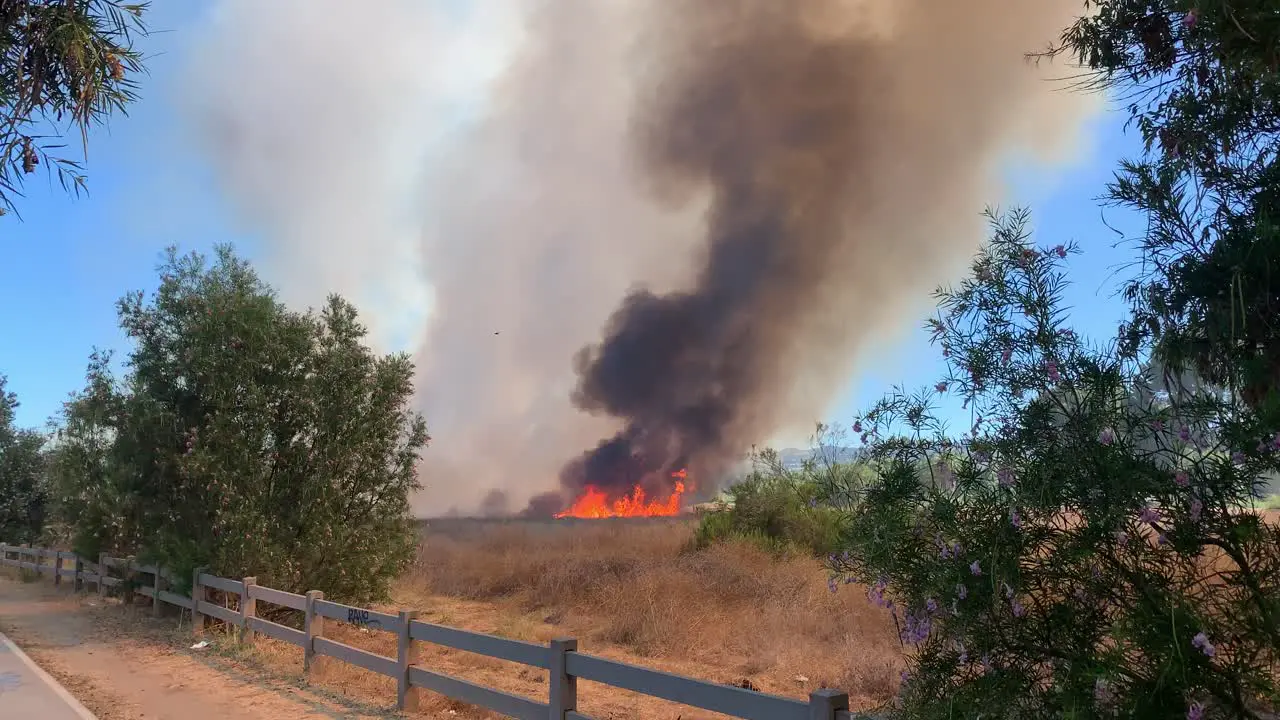 Large Flames from Wildfire hd