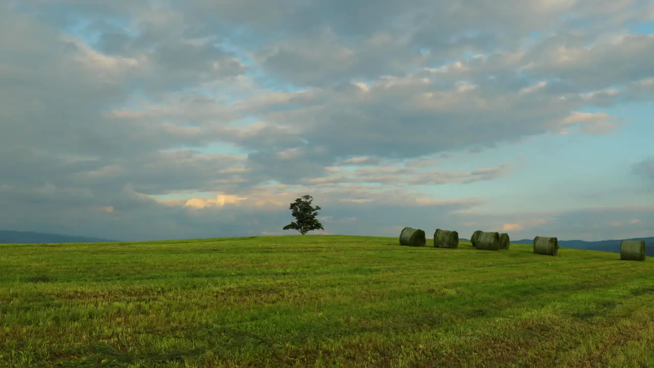 Setting sun and deserted tree on hills in nature lying in mountains during summer day under hills are stacks of fresh straw moving clouds and sun and landscape landscape view in 4k