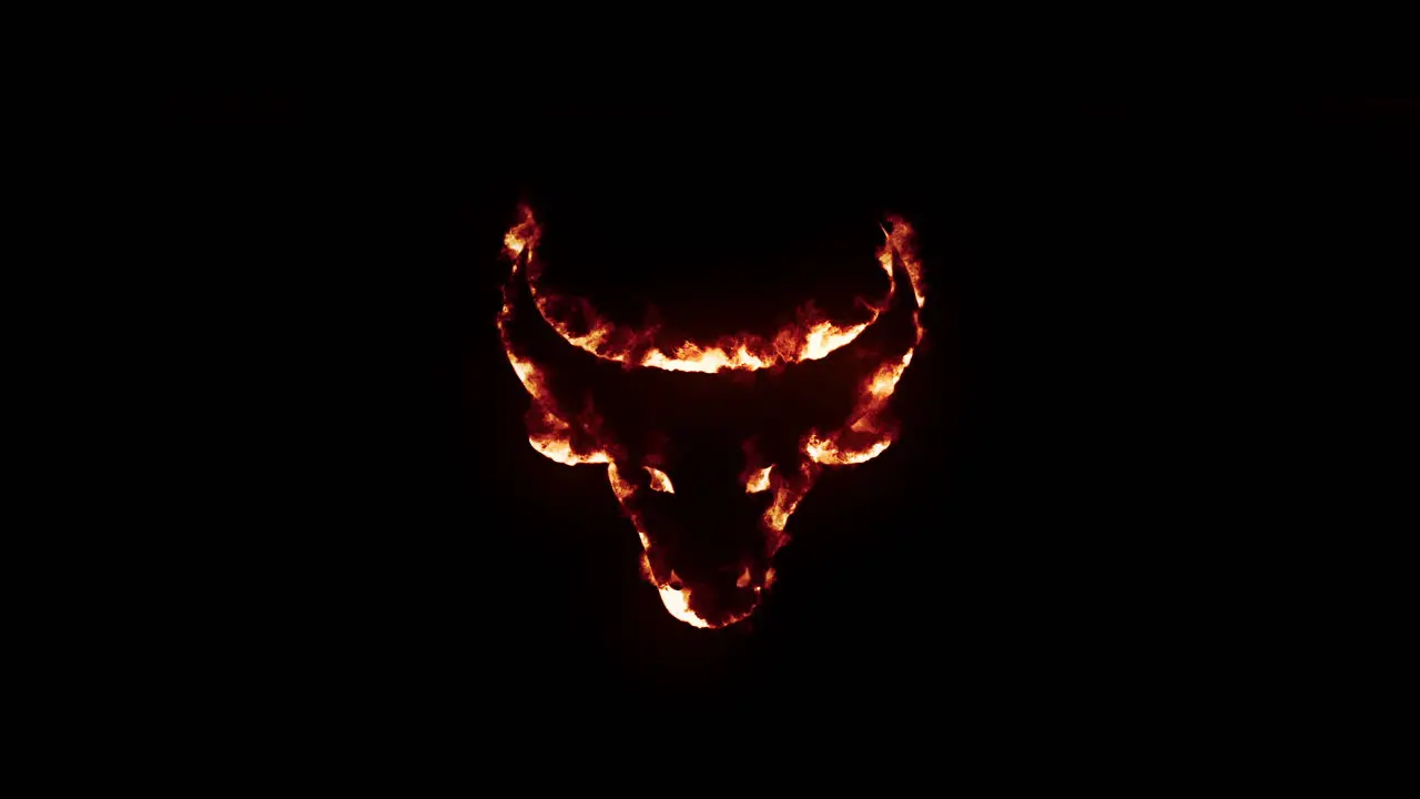 Bull head with fire and burning effect on black background