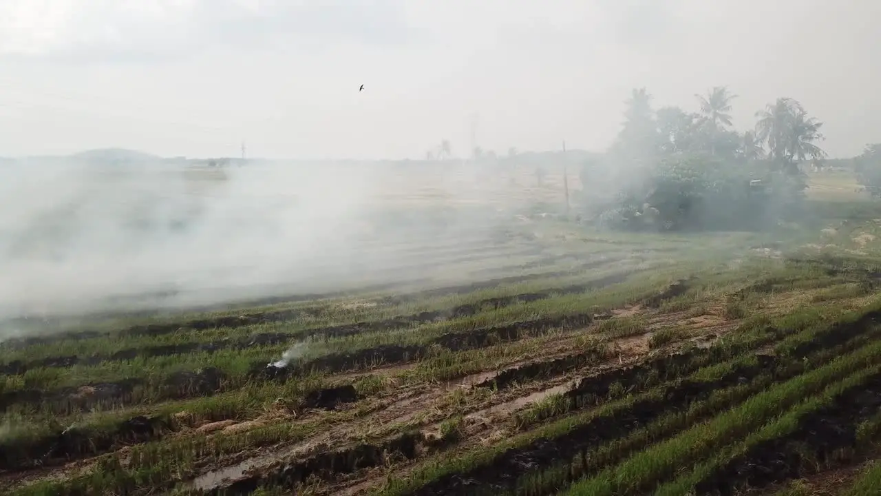 Open fire cause environmental catastrophe at Southeast asia