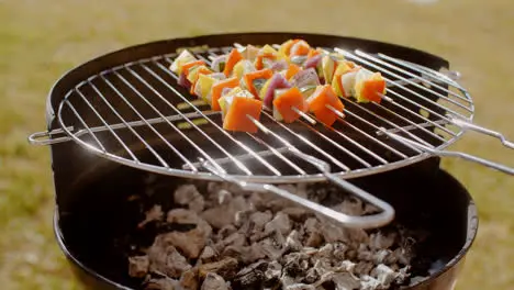 Colorful vegetable kebabs grilling on a BBQ