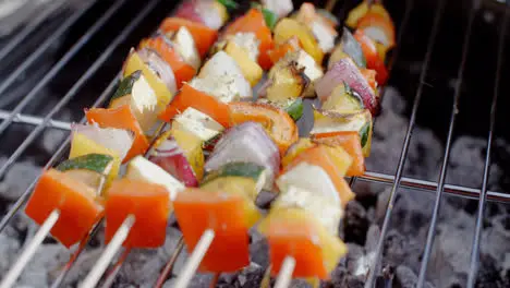 Delicious vegetable kabobs on grill