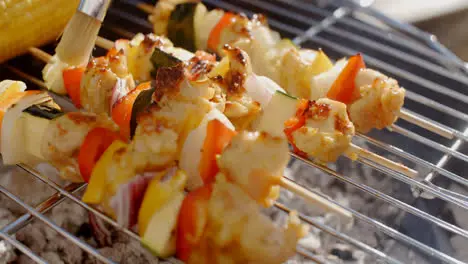 Delicious chicken and vegetable kabobs on grill