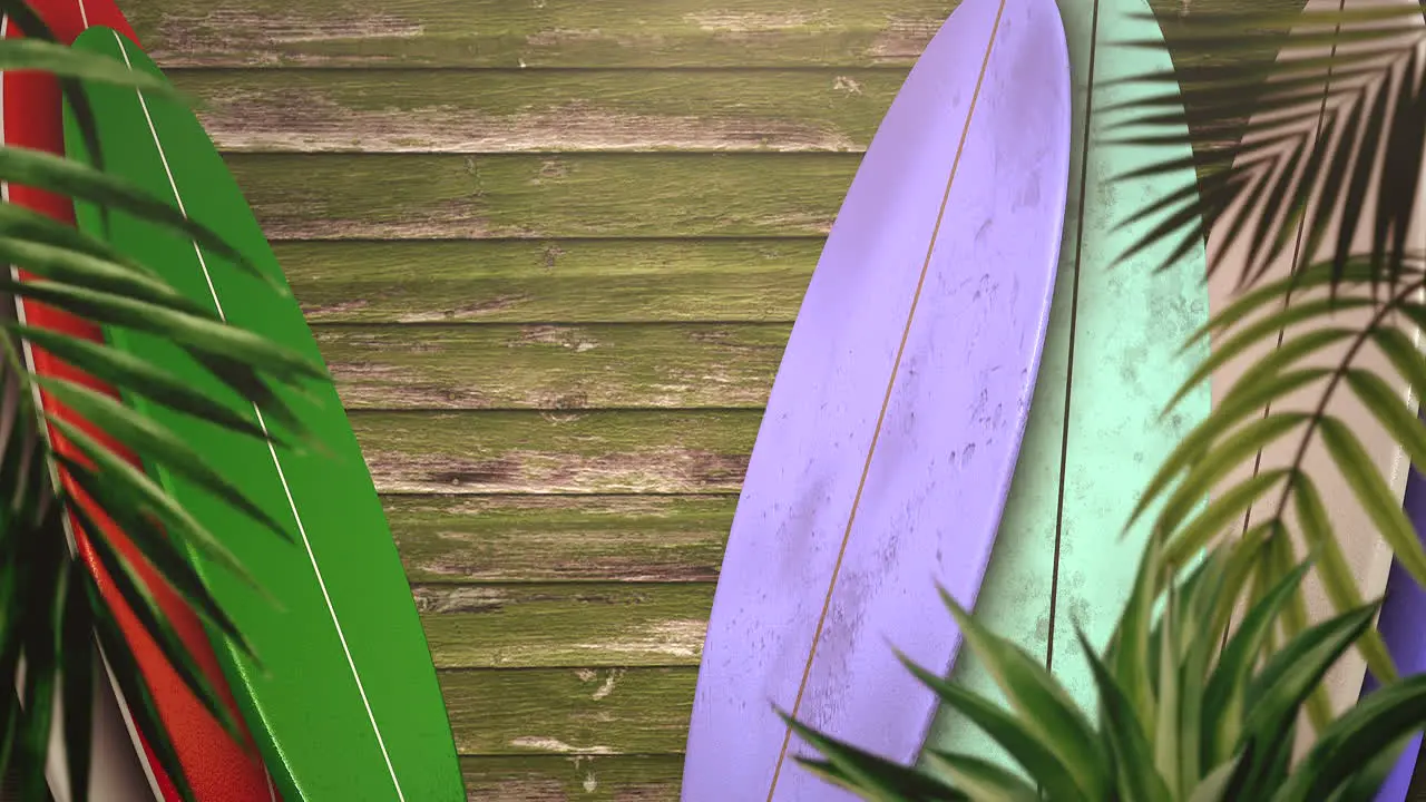 Closeup surfing boards and tropical leaves with summer background 2