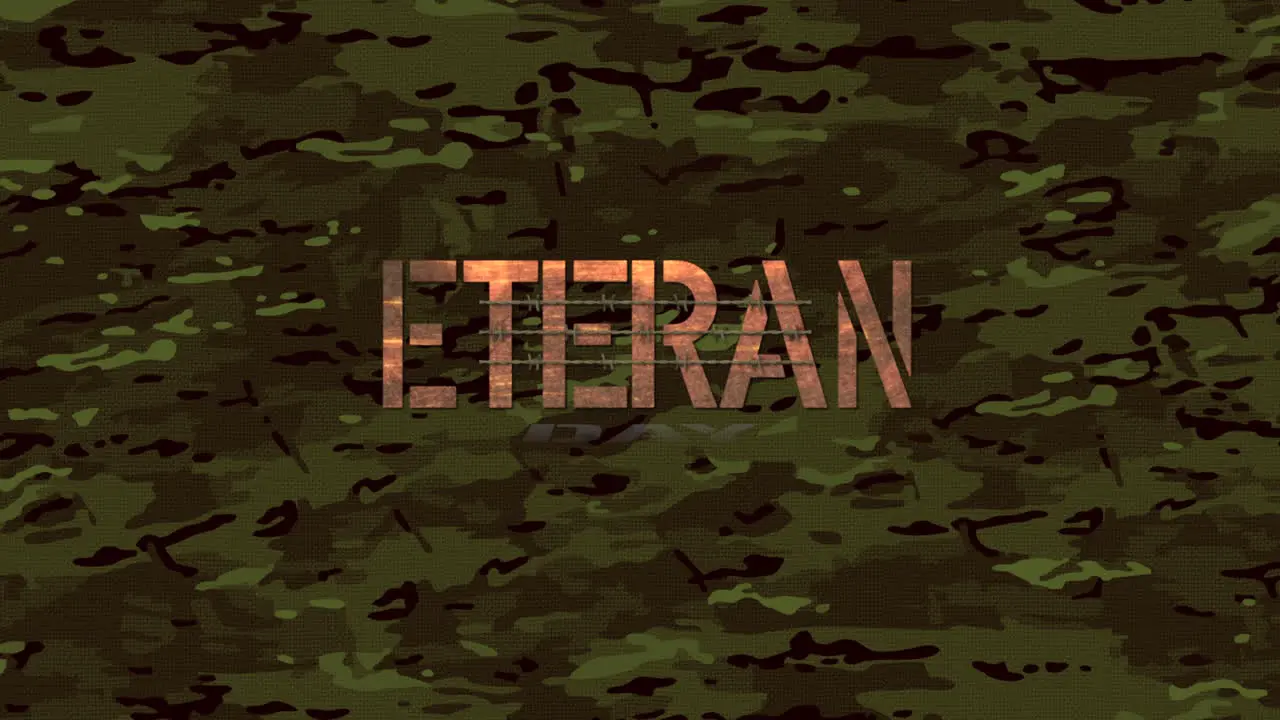 Animation text Veterans Day on military background 4