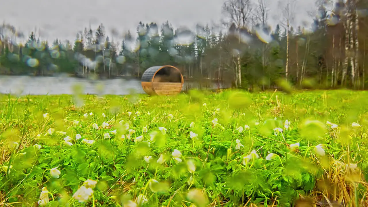 Early Morning Mist On A Blooming Wildflower Fields With Thermo Wood Barrel Sauna Near Lakeshore